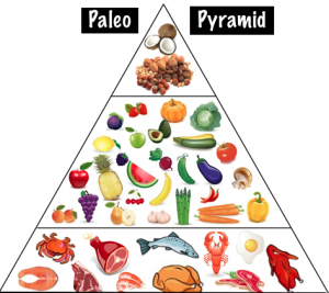 Paleo Diet Pyramid