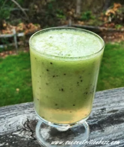 avocado- kiwi-melon smoothie